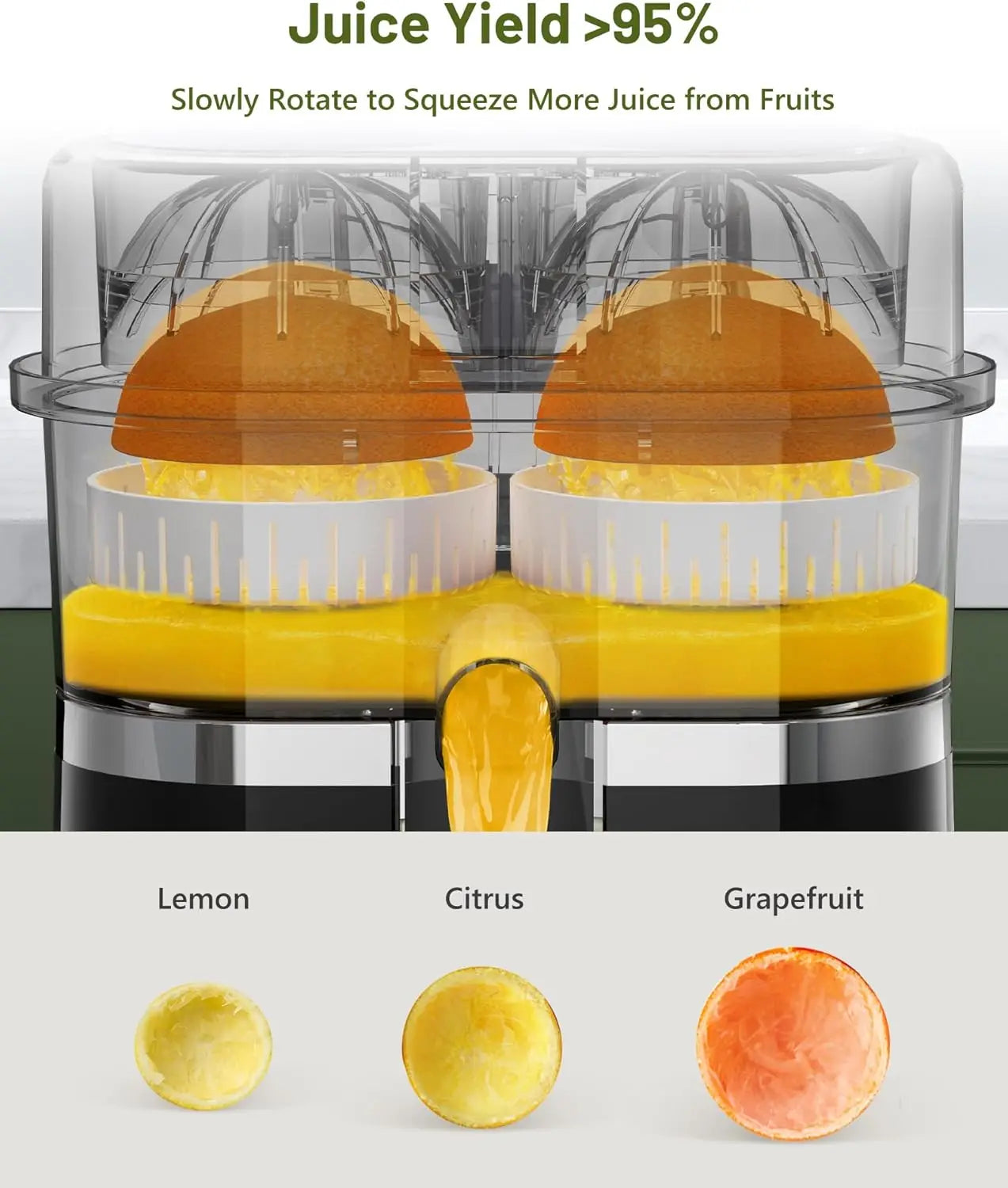 Dual Head Electric Juicer - AgTechShop